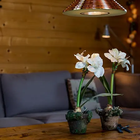 Chalet Figultiblick 펜션